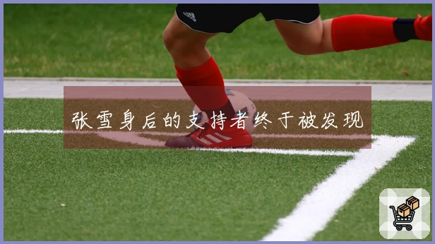 张雪身后的支持者终于被发现