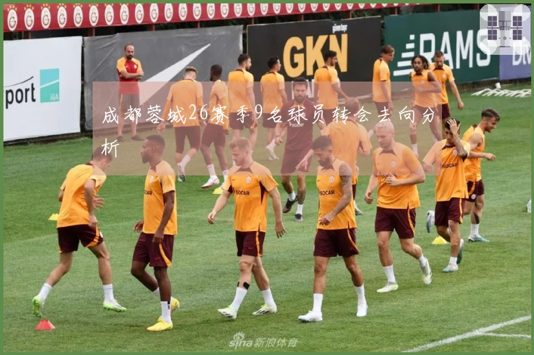 成都蓉城26赛季9名球员转会去向分析